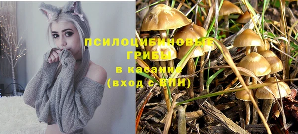 спиды Армянск