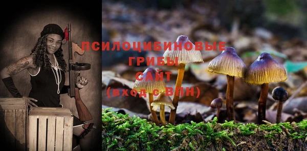 СК Арсеньев