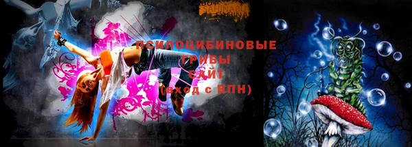 СК Арсеньев