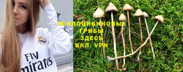 СК Арсеньев